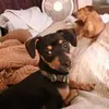 Yvette Burrow - @yvette.burrow - TikTok