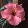 Yvette Busch - @yvette.busch - TikTok