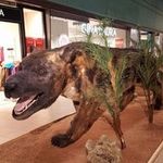 Yvette Rodenbusch - @rodenbuschyvette4 - Instagram