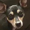 Yvette Cabrera - @yvettecabrera5 - TikTok