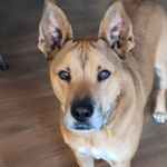Yvette Denise Carpenter - @cwsinger65 - Instagram