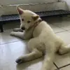 Yvette Casasa - @yvettecasasa - TikTok