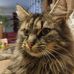 Yvette Clement - Facebook