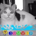 Yvette Clement - @yvette.clement.503 - Instagram