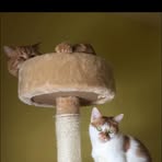 Yvette Clement - Facebook