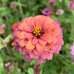 Yvette Cobb - @ycobb2000 - Instagram