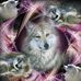 Yvette Comeau - Facebook