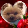 Yvette Costa393 - @yvettecosta393 - TikTok