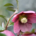 Yvette - @craftyyvette67 - Instagram