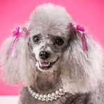 Y vette crouch mcCormick - @y_vette_crouch_mccormick - Instagram