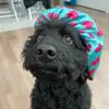 Yvette Davila - @evagymnastmom - TikTok