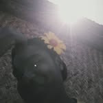 Yvette - @yvette.downey.756 - Instagram