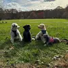 Yvette DellaValle Bonfiglio - @yvettebonfiglio - TikTok