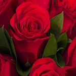 Yvette N. Bancroft-Gates - @essenceofme_473 - Instagram