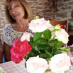 yvette gauthier - @yvettegauthier8 - Instagram