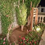 Yvette GAUTHIER - @yvet.te3930 - Instagram