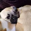 Yvette Gerber - @yvettegerber376 - TikTok