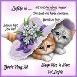 Yvette Gerber - @yvettegerber8 - Instagram