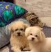 Yvette S. Gold - Facebook
