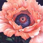 Yvette Hanson - Facebook