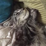 Yvette Herman - @yvetteherman58 - Instagram