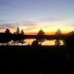 Yvette Ingalls - @yvetteingalls - Instagram