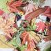 Yvette Jacobs - Facebook