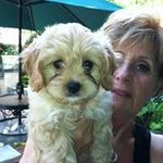 Yvette Jacobson - @yvette.jacobson - Instagram