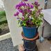 Yvette Jean Jacques - Facebook