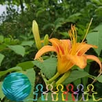 Yvette Conan - Facebook