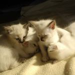 Yvette Kern - @yvette.kern.5 - Instagram