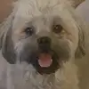 Yvette Kirk - @yvette.kirk - TikTok