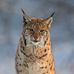 Yvette Koch - Facebook