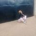 Yvette Lamar - Facebook