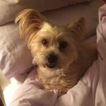 Brian Yvette Langley - @brianyvettelangley - Instagram