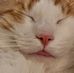 Yvette LaPorte Maiberger - Facebook