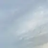 Yvette_Le - @yvettele84 - TikTok