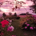 Yvette Leclair - Facebook