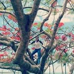 Yvette Lim Yu - @yvettelimyu - Instagram