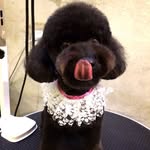 Yvette Lin - @iyvettelin - Instagram