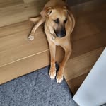 yvette Long - @longyv1950 - Instagram