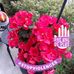 Yvette Maher - Facebook