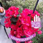 Yvette Maher - @yvette.maher.77 - Instagram