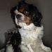 Yvette Muir - Facebook