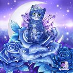 Yvette - @yvettemaier72 - Instagram