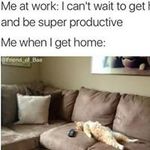 Yvette Marshall - @yvette.marshall.18 - Instagram