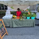 Yvette McLean - @yvesgardensllc - Instagram