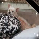 Yvette Mercado - @yvette605914 - Instagram
