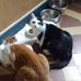 Yvette Normand - Facebook