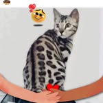 Yvette Normand - @yvette.normand.12 - Instagram